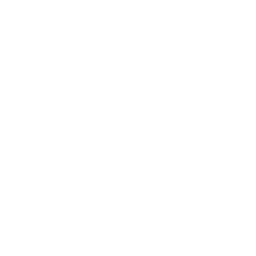 Seis